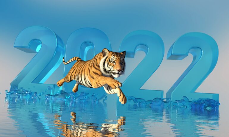 New Year 2022 Water Tiger